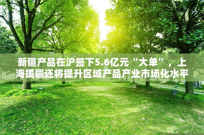 新疆产品在沪签下5.6亿元“大单”，上海援疆还将提升区域产品产业市场化水平