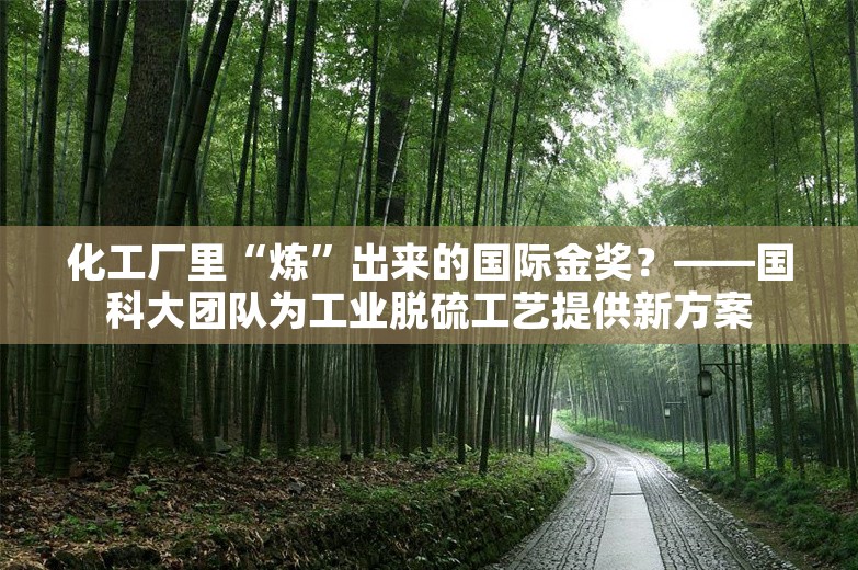 化工厂里“炼”出来的国际金奖？——国科大团队为工业脱硫工艺提供新方案