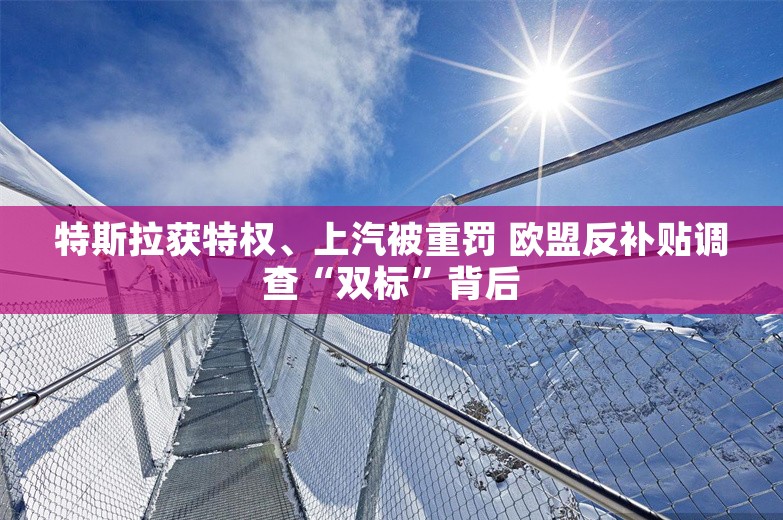 特斯拉获特权、上汽被重罚 欧盟反补贴调查“双标”背后