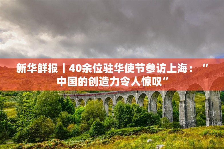 新华鲜报｜40余位驻华使节参访上海：“中国的创造力令人惊叹”