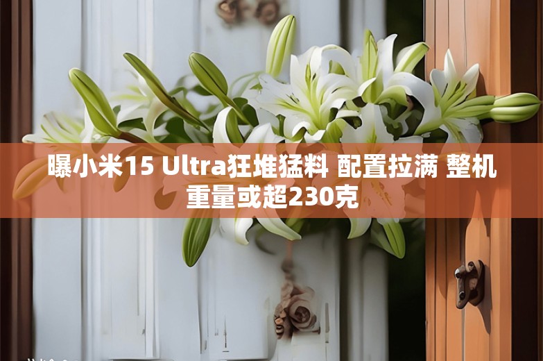 曝小米15 Ultra狂堆猛料 配置拉满 整机重量或超230克