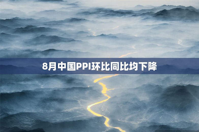 8月中国PPI环比同比均下降