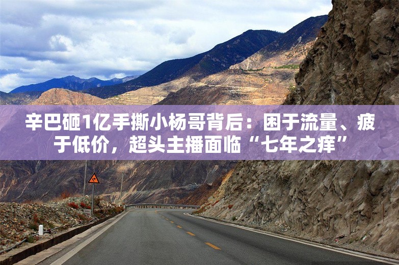 辛巴砸1亿手撕小杨哥背后：困于流量、疲于低价，超头主播面临“七年之痒”