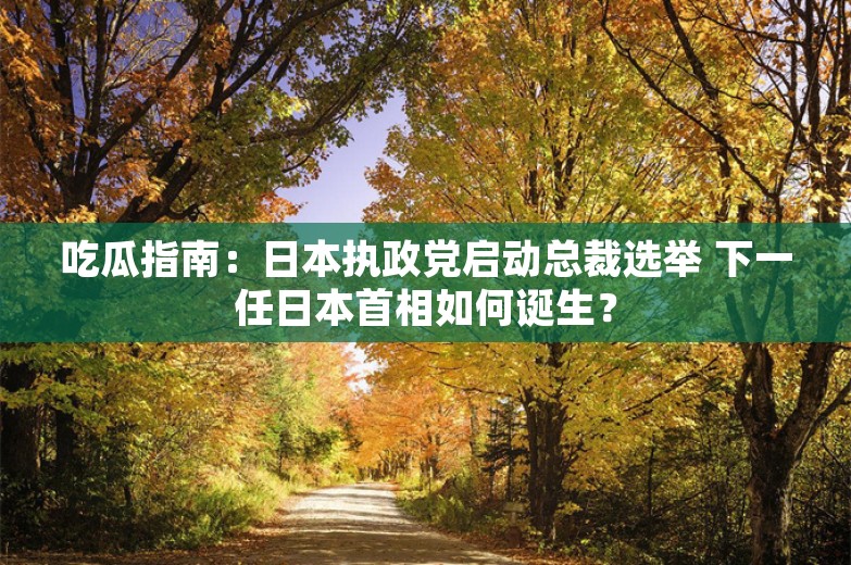 吃瓜指南：日本执政党启动总裁选举 下一任日本首相如何诞生？