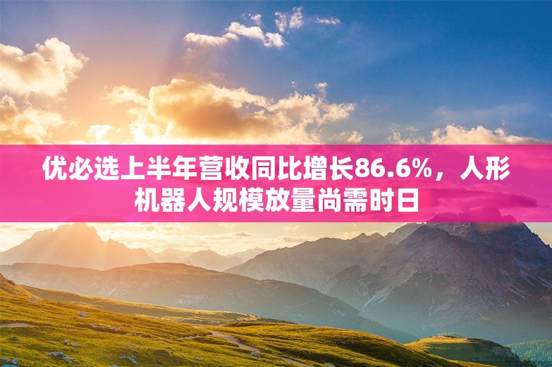 优必选上半年营收同比增长86.6%，人形机器人规模放量尚需时日