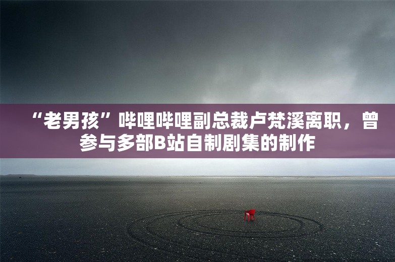 “老男孩”哔哩哔哩副总裁卢梵溪离职，曾参与多部B站自制剧集的制作