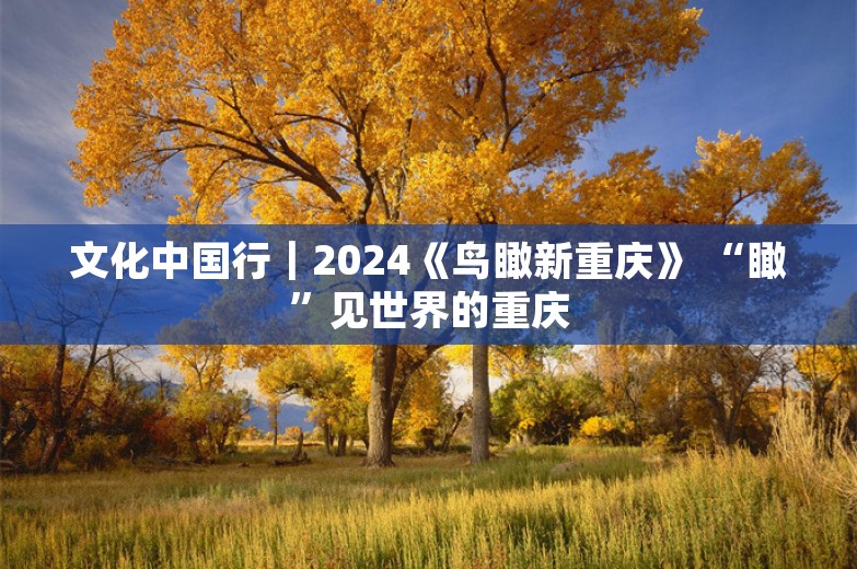 文化中国行｜2024《鸟瞰新重庆》 “瞰”见世界的重庆