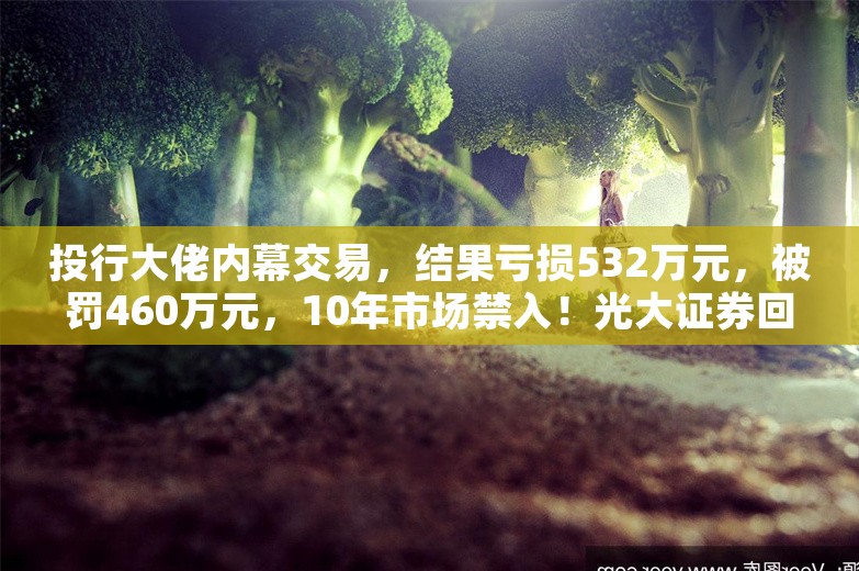 投行大佬内幕交易，结果亏损532万元，被罚460万元，10年市场禁入！光大证券回应