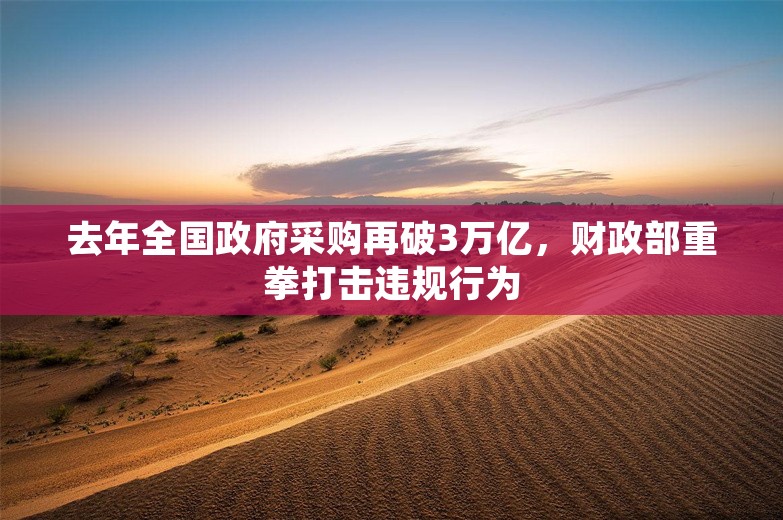 去年全国政府采购再破3万亿，财政部重拳打击违规行为