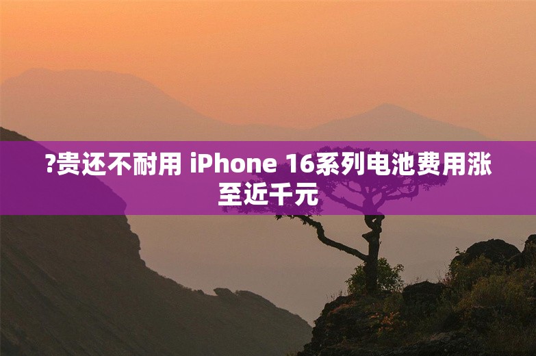 ?贵还不耐用 iPhone 16系列电池费用涨至近千元