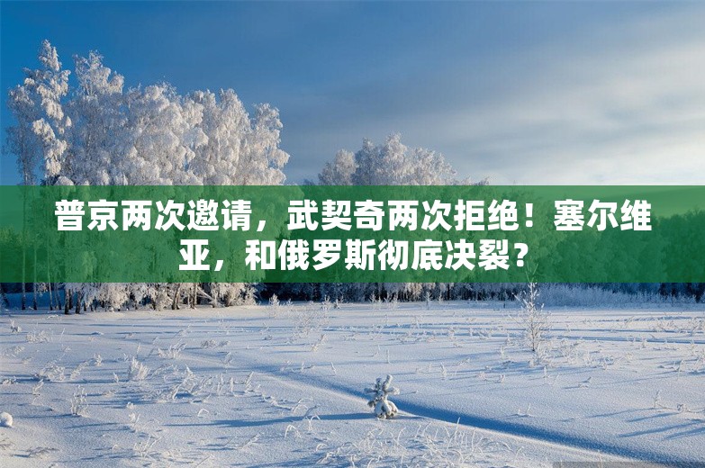 普京两次邀请，武契奇两次拒绝！塞尔维亚，和俄罗斯彻底决裂？