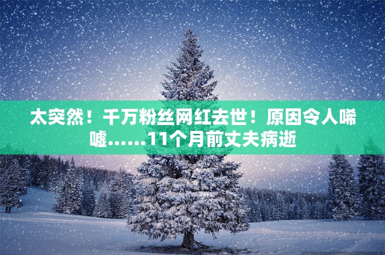 太突然！千万粉丝网红去世！原因令人唏嘘……11个月前丈夫病逝