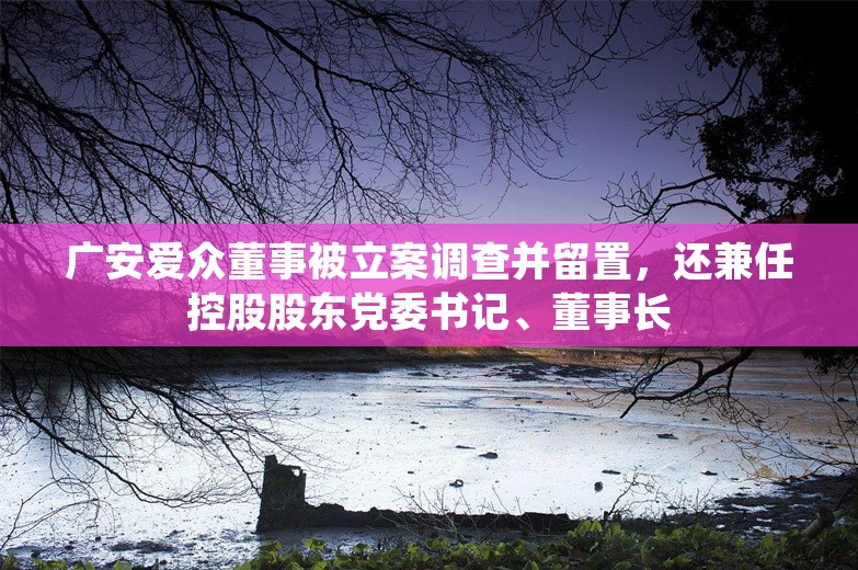 广安爱众董事被立案调查并留置，还兼任控股股东党委书记、董事长