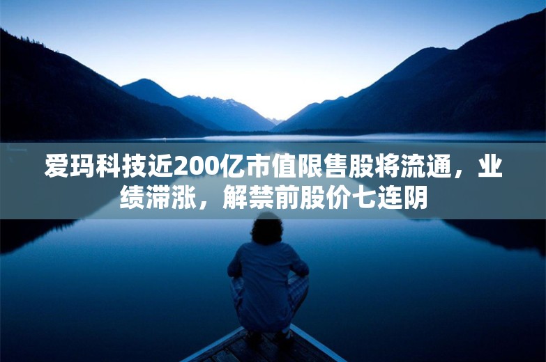 爱玛科技近200亿市值限售股将流通，业绩滞涨，解禁前股价七连阴