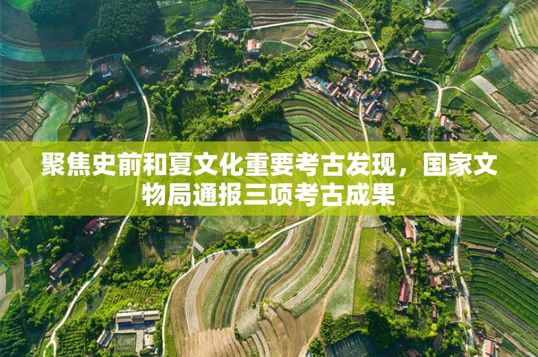 聚焦史前和夏文化重要考古发现，国家文物局通报三项考古成果