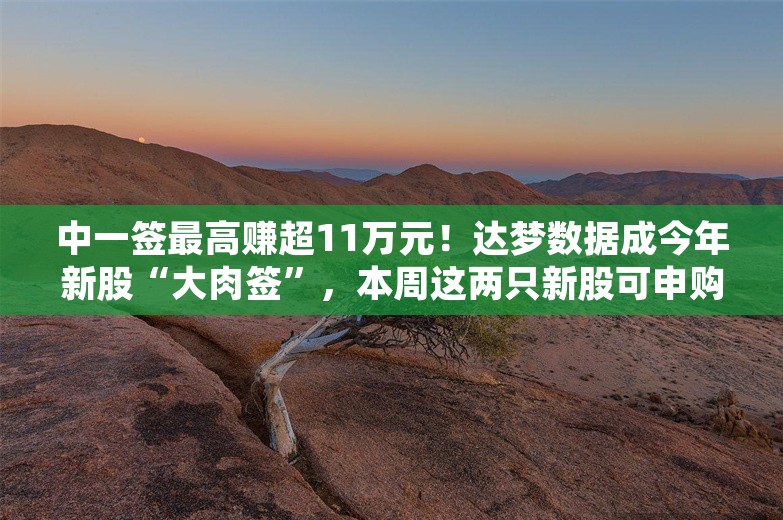 中一签最高赚超11万元！达梦数据成今年新股“大肉签”，本周这两只新股可申购