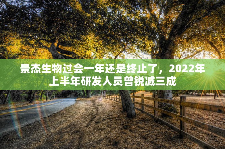 景杰生物过会一年还是终止了，2022年上半年研发人员曾锐减三成