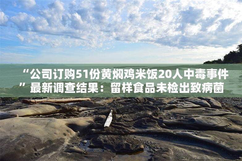 “公司订购51份黄焖鸡米饭20人中毒事件”最新调查结果：留样食品未检出致病菌