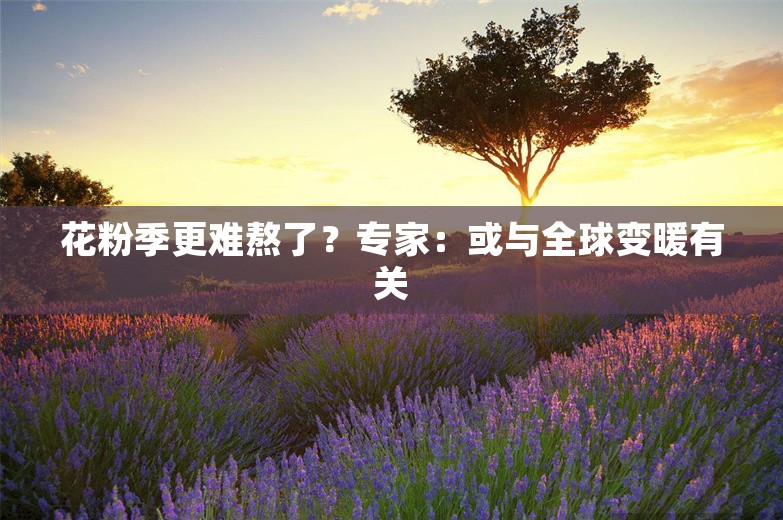 花粉季更难熬了？专家：或与全球变暖有关