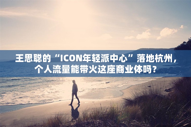 王思聪的“ICON年轻派中心”落地杭州，个人流量能带火这座商业体吗？