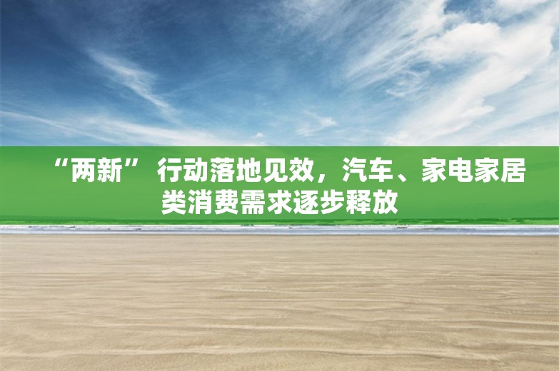 “两新” 行动落地见效，汽车、家电家居类消费需求逐步释放