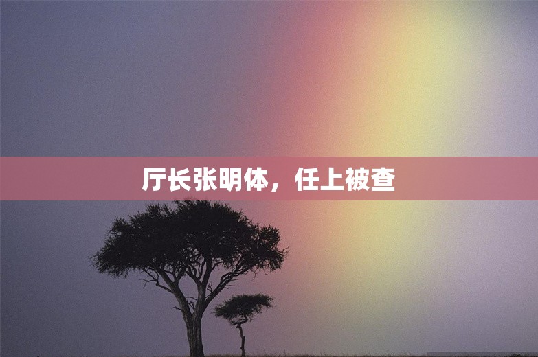 厅长张明体，任上被查