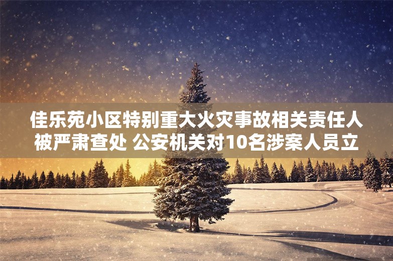 佳乐苑小区特别重大火灾事故相关责任人被严肃查处 公安机关对10名涉案人员立案侦查 纪检监察机关严肃问责55名公职人员