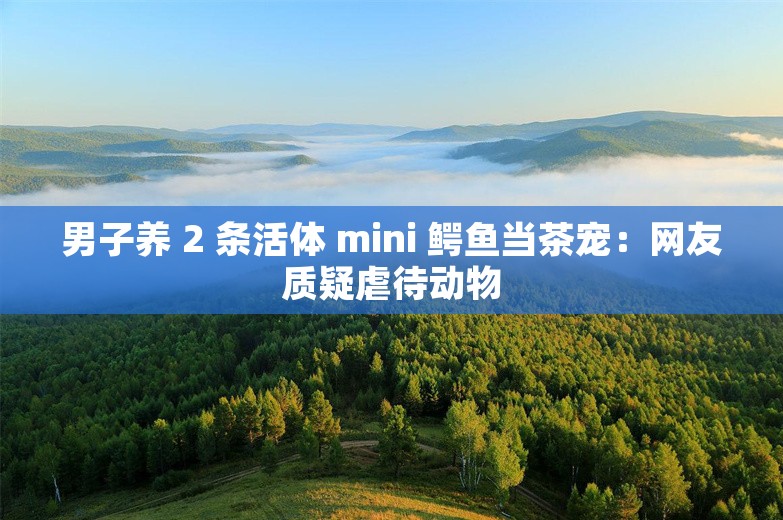 男子养 2 条活体 mini 鳄鱼当茶宠：网友质疑虐待动物