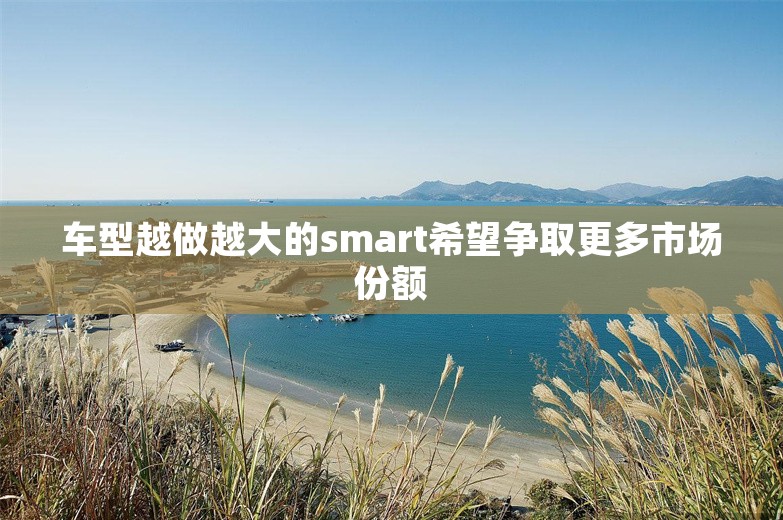 车型越做越大的smart希望争取更多市场份额