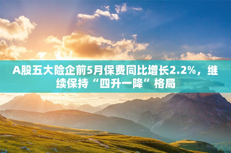 A股五大险企前5月保费同比增长2.2%，继续保持“四升一降”格局