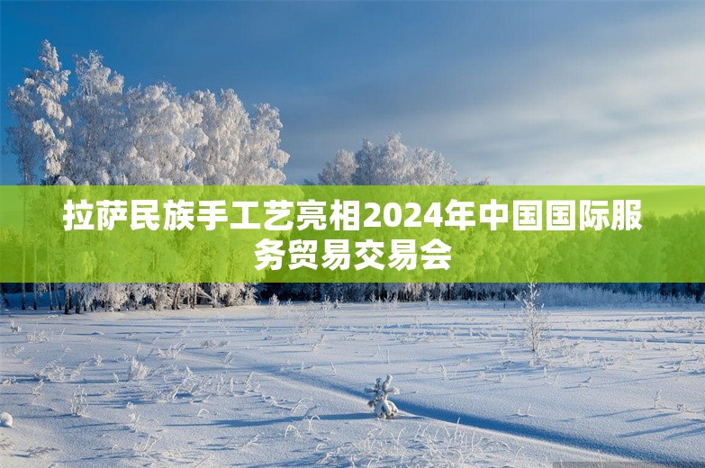 拉萨民族手工艺亮相2024年中国国际服务贸易交易会