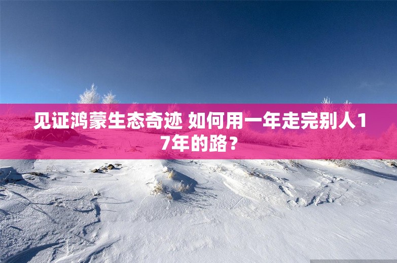 见证鸿蒙生态奇迹 如何用一年走完别人17年的路？