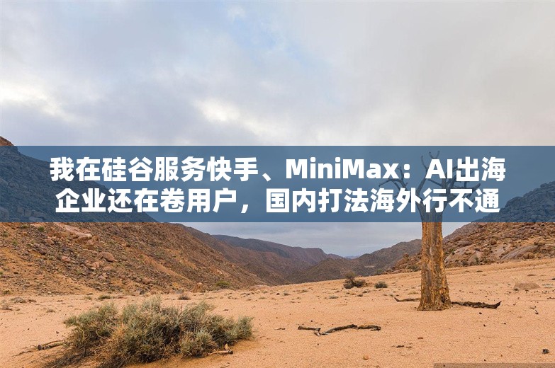 我在硅谷服务快手、MiniMax：AI出海企业还在卷用户，国内打法海外行不通