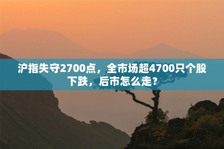 沪指失守2700点，全市场超4700只个股下跌，后市怎么走？