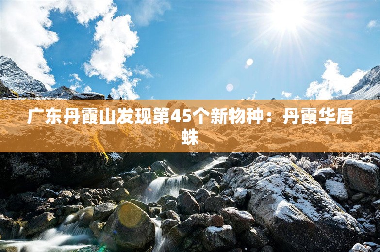 广东丹霞山发现第45个新物种：丹霞华盾蛛