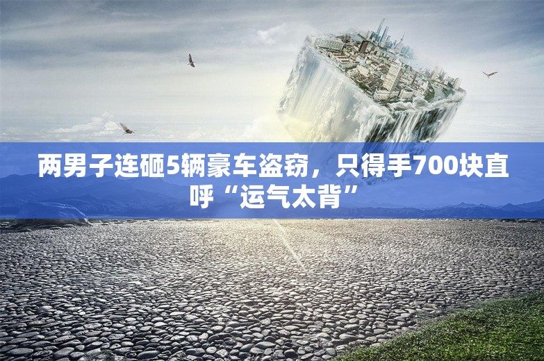 两男子连砸5辆豪车盗窃，只得手700块直呼“运气太背”