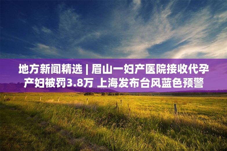 地方新闻精选 | 眉山一妇产医院接收代孕产妇被罚3.8万 上海发布台风蓝色预警