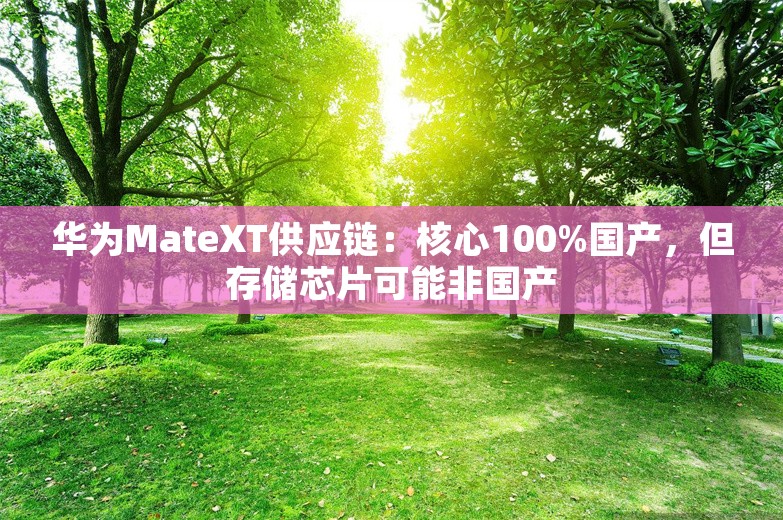 华为MateXT供应链：核心100%国产，但存储芯片可能非国产