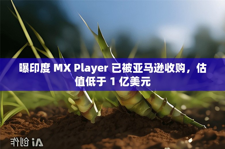 曝印度 MX Player 已被亚马逊收购，估值低于 1 亿美元