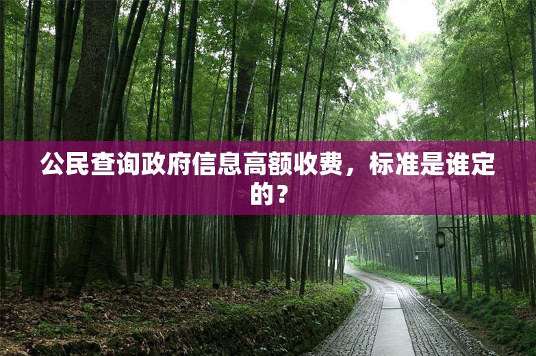 公民查询政府信息高额收费，标准是谁定的？