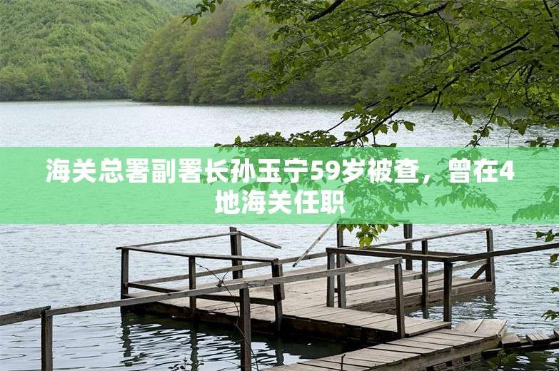 海关总署副署长孙玉宁59岁被查，曾在4地海关任职