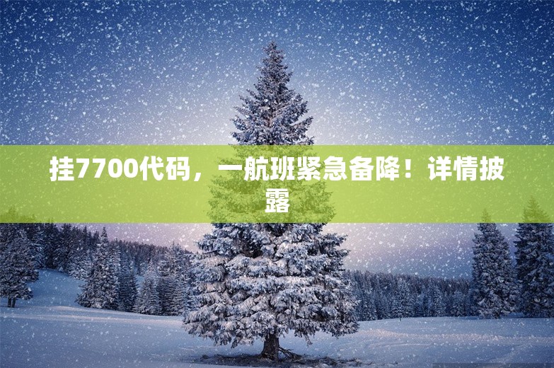 挂7700代码，一航班紧急备降！详情披露