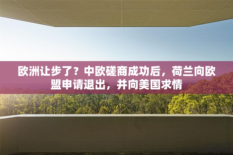 欧洲让步了？中欧磋商成功后，荷兰向欧盟申请退出，并向美国求情