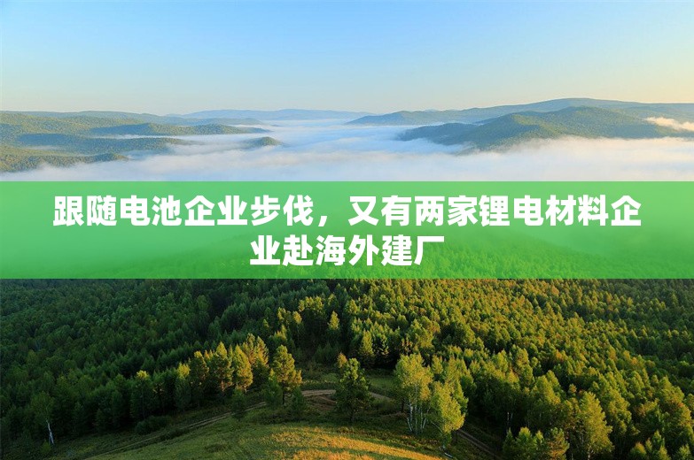 跟随电池企业步伐，又有两家锂电材料企业赴海外建厂