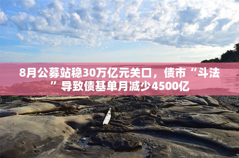 8月公募站稳30万亿元关口，债市“斗法”导致债基单月减少4500亿