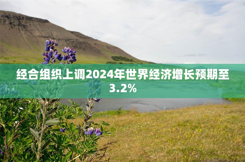 经合组织上调2024年世界经济增长预期至3.2%