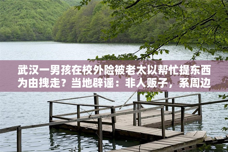 武汉一男孩在校外险被老太以帮忙提东西为由拽走？当地辟谣：非人贩子，系周边小区居民