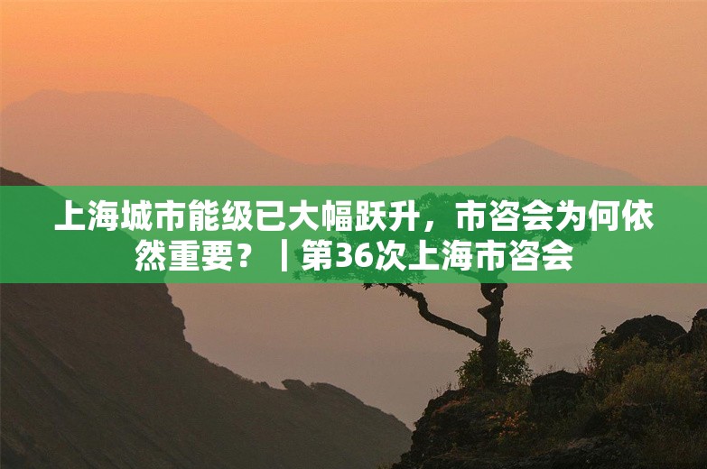 上海城市能级已大幅跃升，市咨会为何依然重要？｜第36次上海市咨会