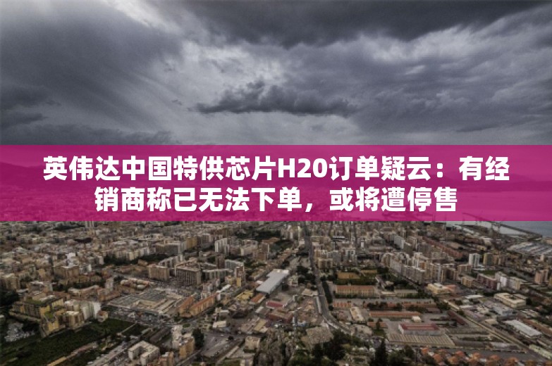 英伟达中国特供芯片H20订单疑云：有经销商称已无法下单，或将遭停售