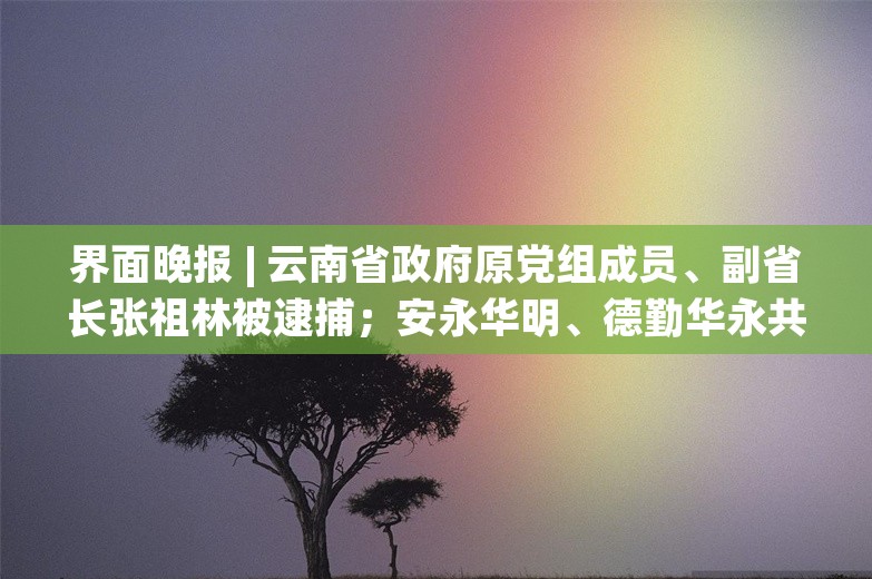 界面晚报 | 云南省政府原党组成员、副省长张祖林被逮捕；安永华明、德勤华永共五名注册会计师遭警告